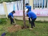 Tuổi trẻ Tiên Phước chung tay trồng cây xanh ứng phó biến đổi khí hậu